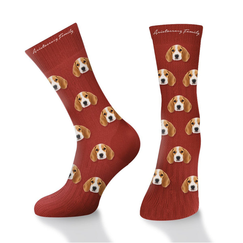 Chaussette Agus - Aristocracy Family