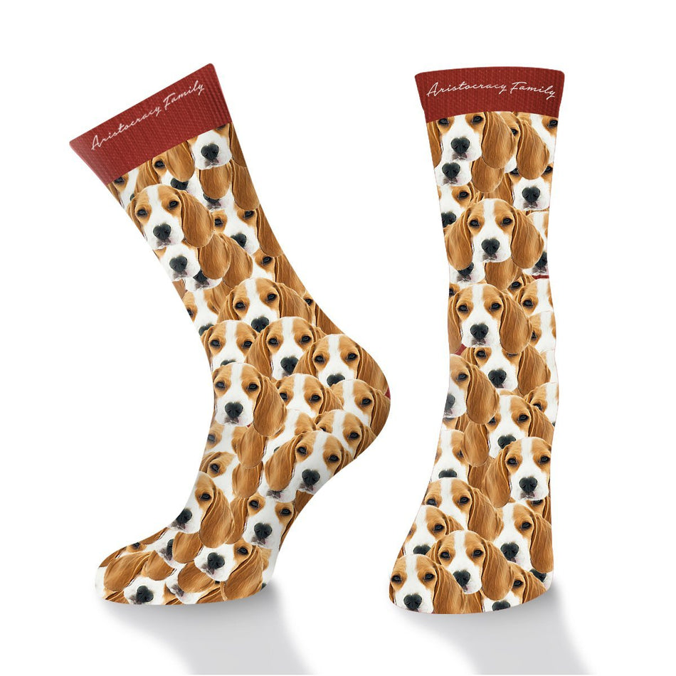 Chaussette Ida - Aristocracy Family