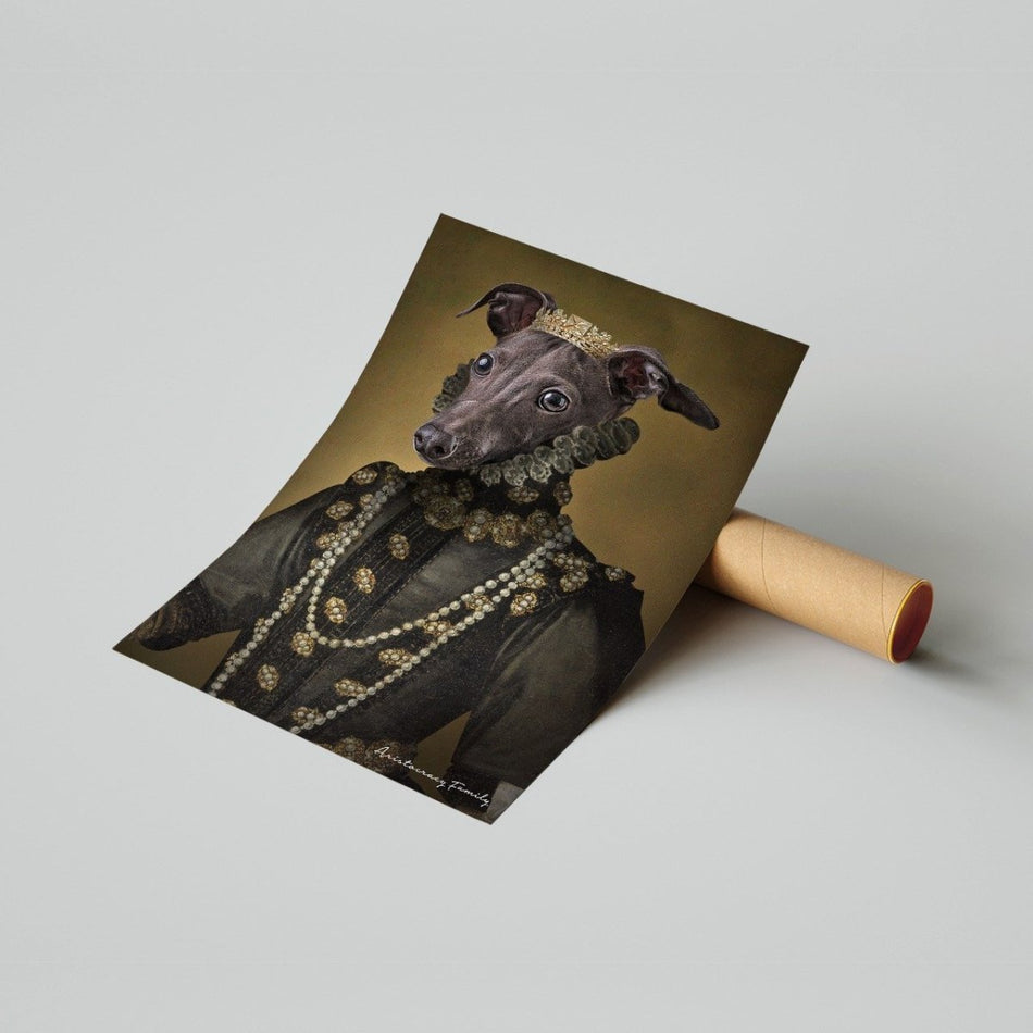 Constance - Aristocracy Family