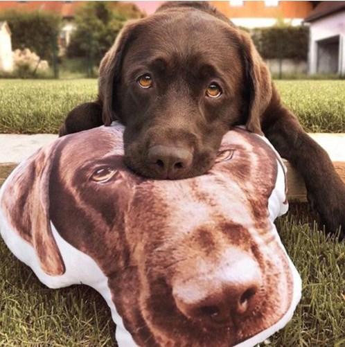 Coussin à la forme de votre animal - Aristocracy Family