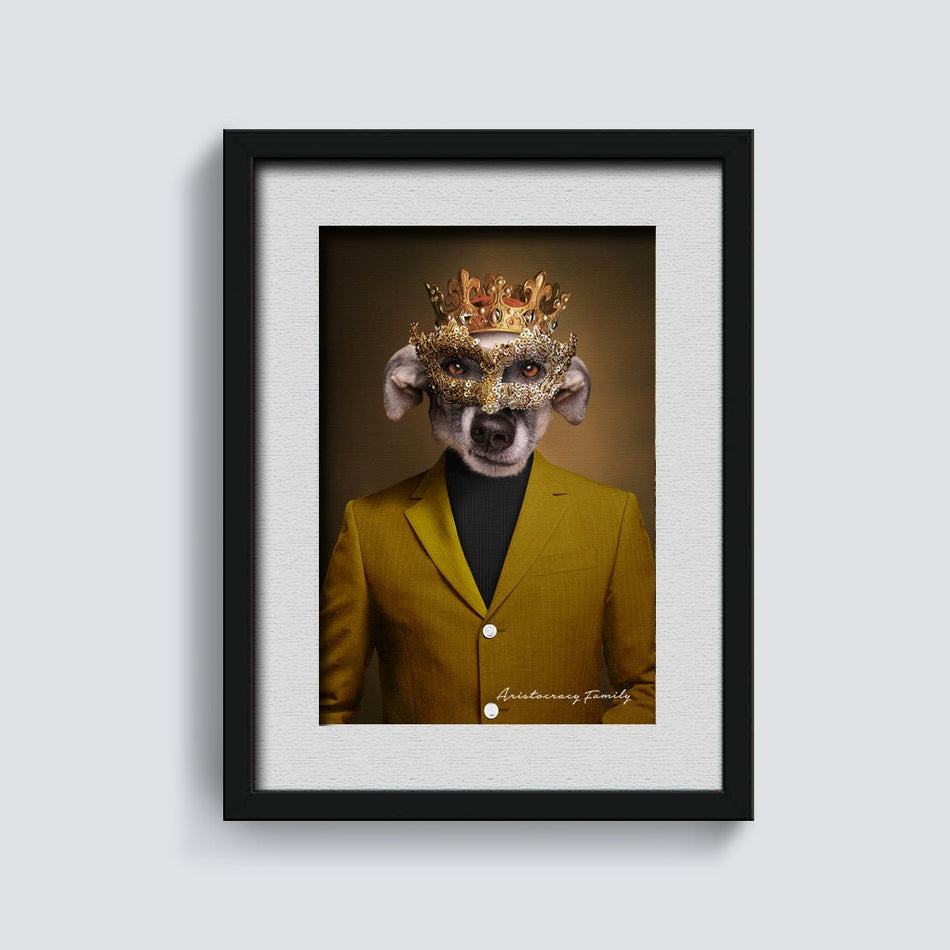 Harlequin - Aristocracy Family