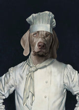 Kitchen Chef White - Aristocracy Family