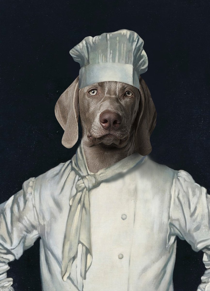 Kitchen Chef White - Aristocracy Family