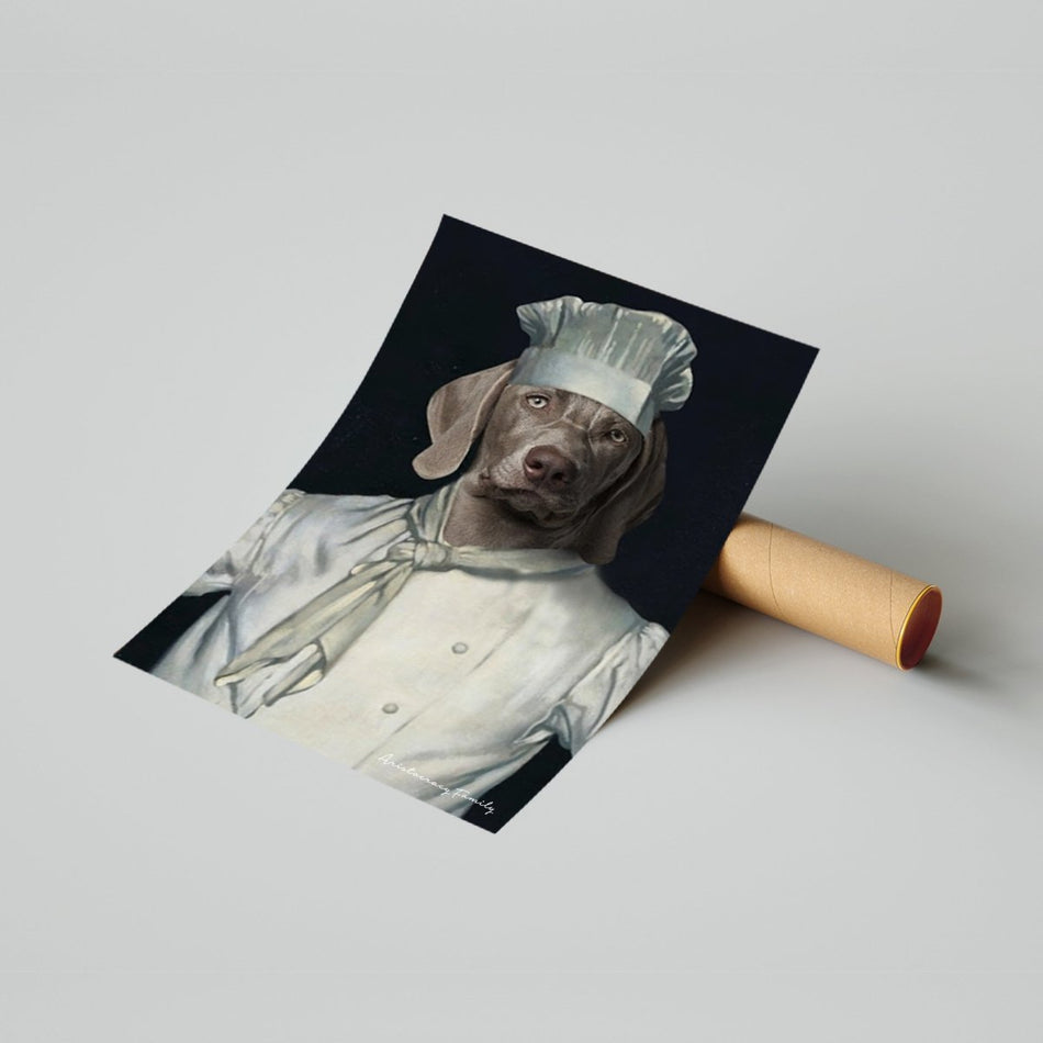 Kitchen Chef White - Aristocracy Family