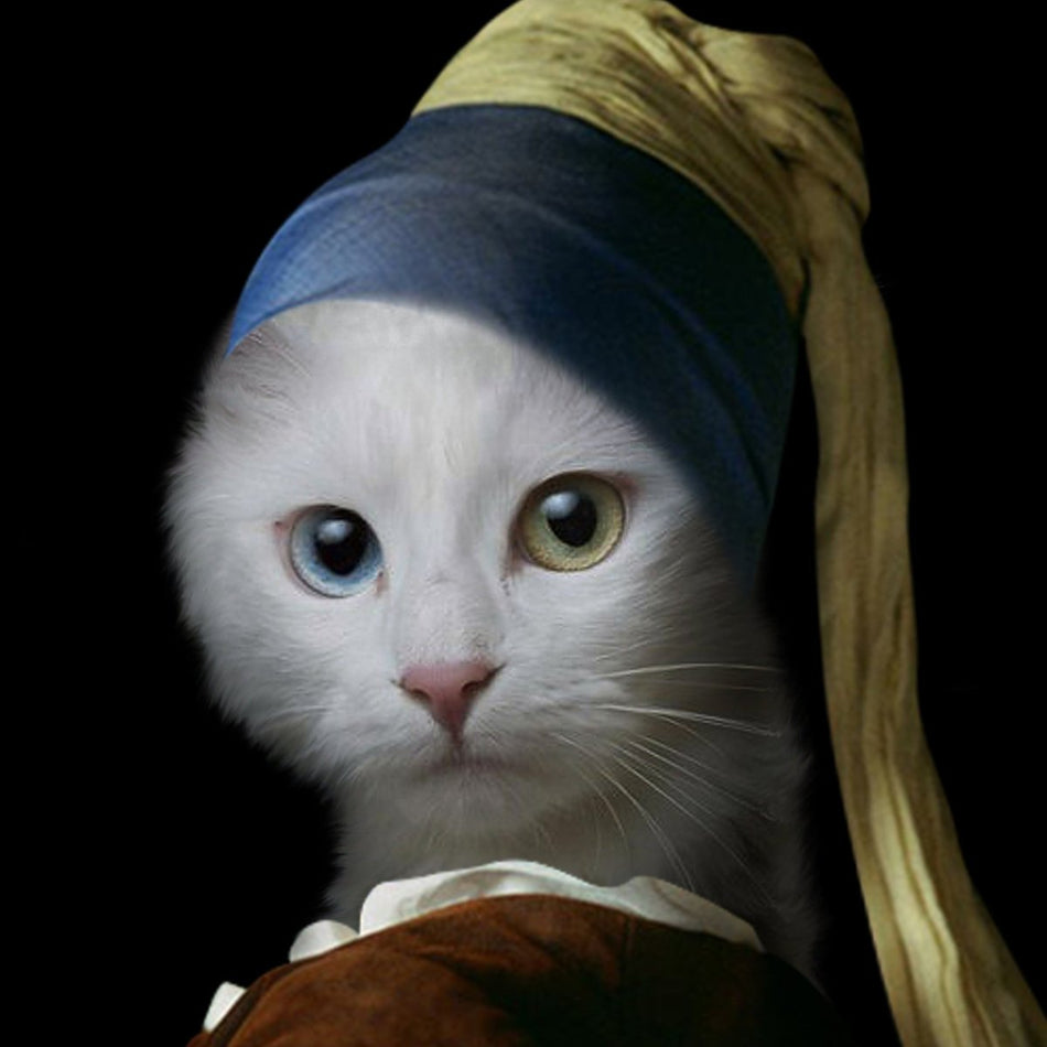 La Jeune Fille à la Perle - Aristocracy Family