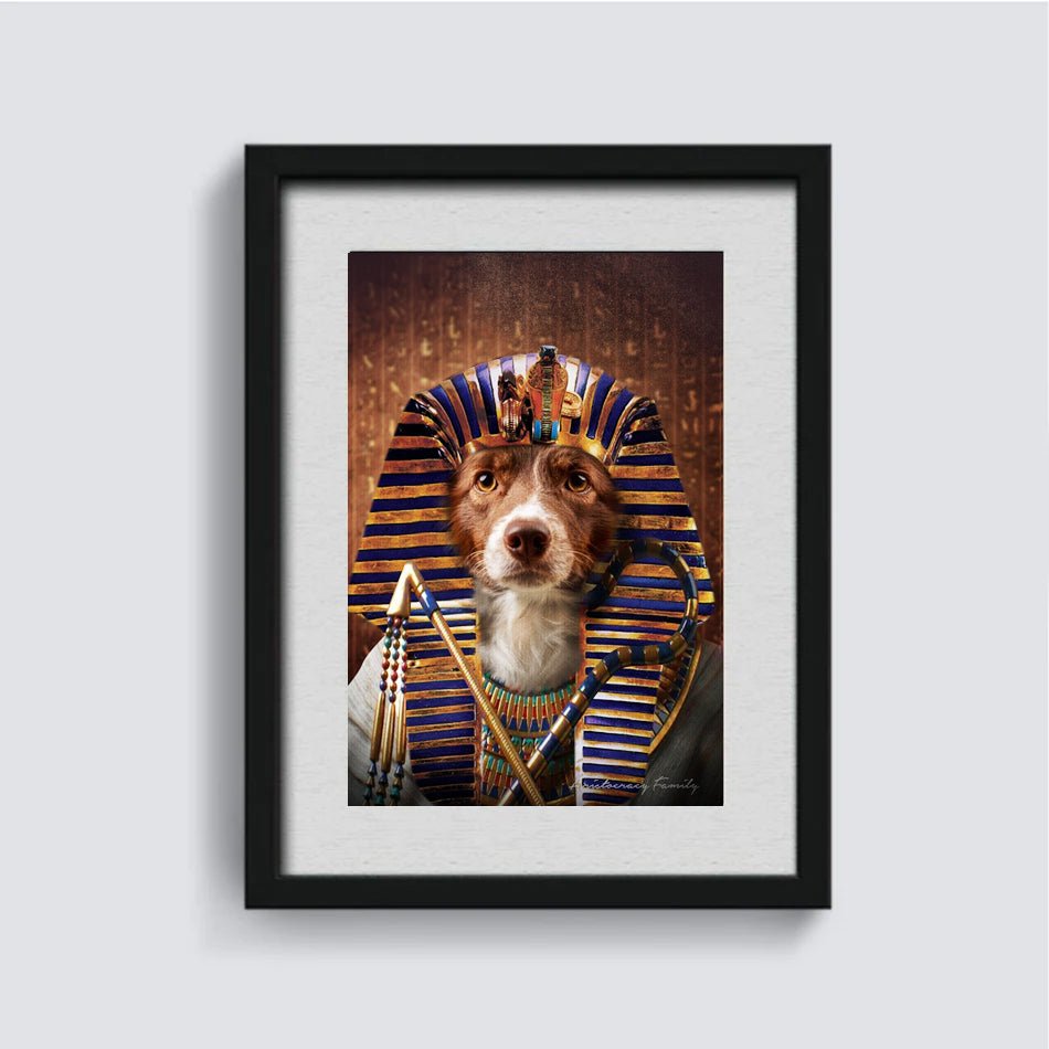 Le Pharaon - Aristocracy Family