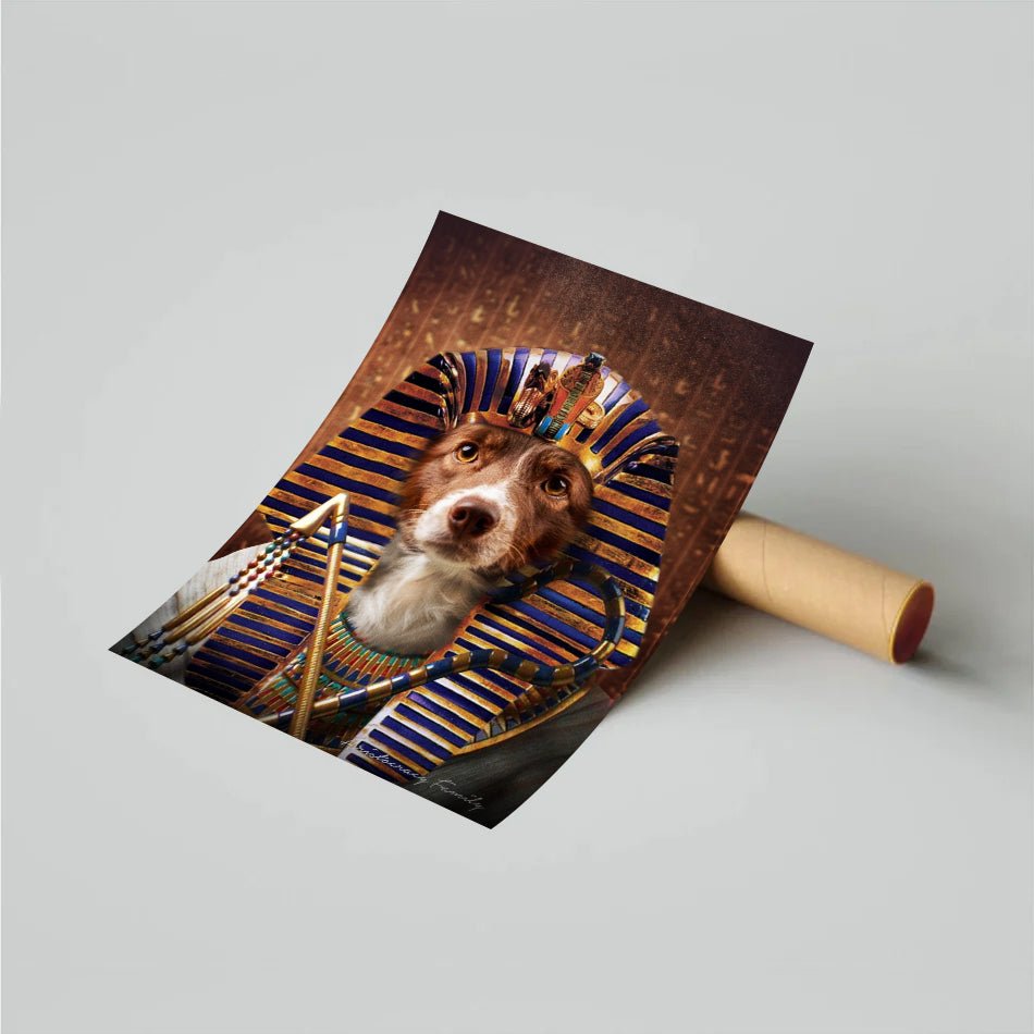 Le Pharaon - Aristocracy Family