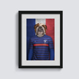 Les Bleus - Aristocracy Family